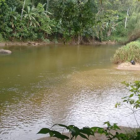 Recanto Beira Rio 萨纳 外观 照片